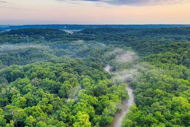 Forêt amazonienne en Guyane