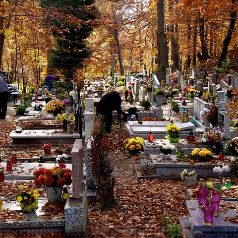 jour férié la toussaint
