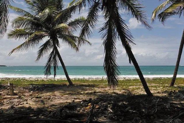 Plage de l'île de la Martinique