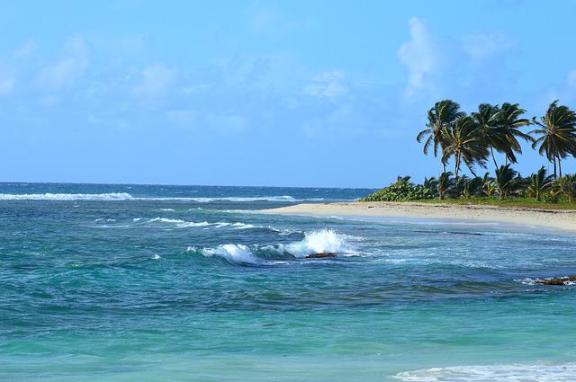 Plage de l'île de la Guadeloupe