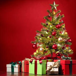 les vacances de noël 2024